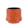 Jarrón de Plástico Simple para Flores Secas y Húmedas Contenedor para Arreglos Florales Estilo Nórdico INS Decoración Floral Jarrón de Imitación de Esmalte Resistente a Caídas