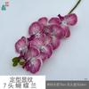 Padrão de modelagem 7 cabeça Phalaenopsis cola sentir Phalaenopsis estúdio fotográfico adereços flor de simulação janela bonita Chen