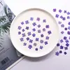 Pequeña Belleza Flor de Cerezo Flor Real Flor Prensada Estampado Tutorial Material de Espécimen Vegetal Flor Seca de Resina Funda para Teléfono DIY