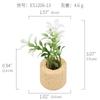 Amazon Planta Artificial Suculenta Imán de Corcho Imán de Refrigerador Decoración del Hogar Estilo Pastoral Suculenta Creativa Atracción Magnética