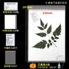 Prensa para Plántulas Herramientas para Hacer Plántulas Mesa para Plántulas Papel Papel Corrugado Hojas de Cera Plántulas de Plantas Medicinales