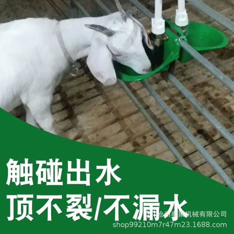 羊碗场景使用图1.jpg