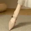 Chinelos Mules de Couro Macio Estilo Francês para Mulheres, Verão 2025 Novos Mules da Moda com Salto Grosso, Sapatos Solteiros de Bico Fino com Salto Médio