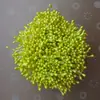 Cuentas Imitación Núcleo de Flor Perlado de 3 mm Cuentas de Yeso Estambre de Flor Centro de Flor de Malla de Seda Materiales para Joyería Hecha a Mano Venta al por Mayor