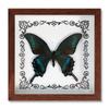 Marco de Fotos con Foto de Espécimen de Mariposa Real Pintura Decorativa Moderna Avanzada Decoración del Hogar Suministros para Fiestas DIY Regalo Regalo Creativo