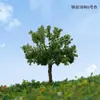 Sistema verde Árvore de bola ambiente árvore modelo árvore de arame modelo de árvore de arame mesa de areia modelo de planejamento árvore pequena paisagem simulação planta