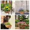 Cesta colgante de arte en hierro hecha a medida con palmera de coco, maceta colgante de forma única para balcón y patio, cesta colgante de palmera de coco para plantas verdes y flores