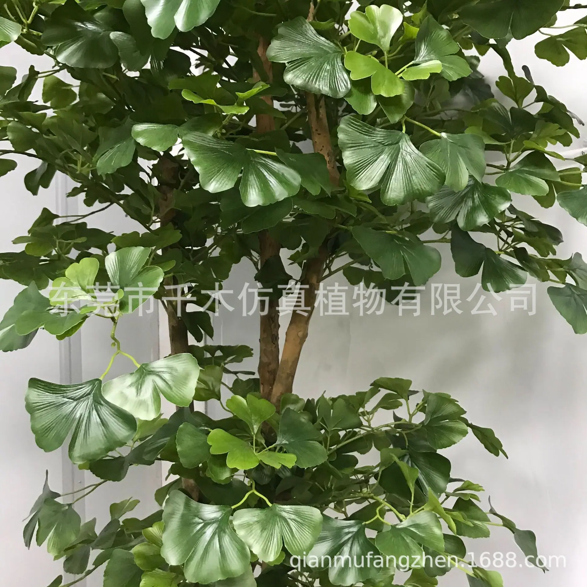 微信图片_202105280944524