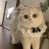 Bufanda para Gato, Pajarita, Collar para Mascota, Babero, Toalla para Saliva, Bufanda Tejida, Bufanda, Perro Lindo para Foto