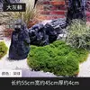 Musgo Artificial, Césped, Arreglos de Paisajismo, Decoración de Superficie para Bonsái, Césped Artificial, Musgo Falso, Plantas Verdes de Interior