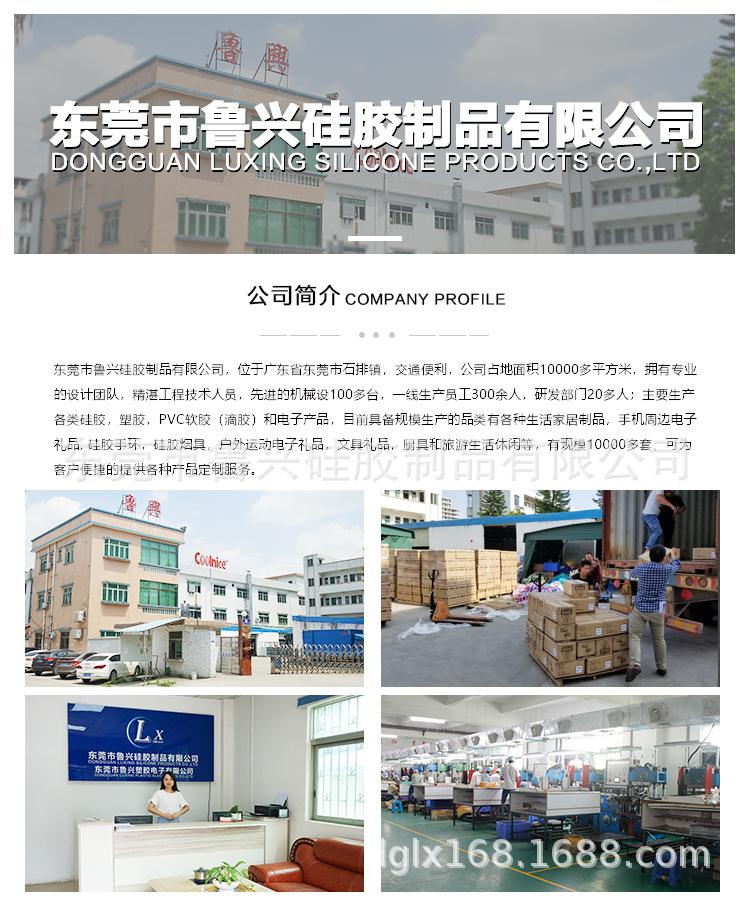 公司介绍详情_01.jpg