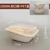 Cajas de ensalada biodegradables desechables con boca inclinada, cajas de embalaje de pulpa de papel, recipientes para llevar, loncheras portátiles y cajas bento - al por mayor