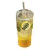 Vaso de pajita de vidrio de gran capacidad estilo ins con tapa para verano, vaso para beber jugo de alto valor, Vidrio de borosilicato alto