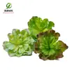 Simulación planta suculenta súper grande tamaño pequeño suculenta bonsái planta verde flor de plástico en maceta micro paisaje con pared vegetal