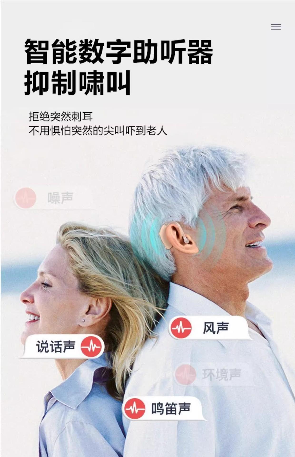 抑制啸叫 (1)