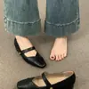 Zapatos Mary Jane Elegantes de Tacón Bajo de Nicho para Mujer 2024 Primavera Nuevos Zapatos de Vestir Cuadrados Marrones