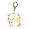 Chaveiro de anime cross-border diy canto bio desenho animado dupla face acrílico chaveiro pingente DIY Novo