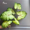 Flores Artificiales de Gran Venta Transfronteriza: Semillas de Hojas de Caladio de Colores de 7 Ramas, Caladio de Hoja Grande, Semillas de Caladio Bicolor, Flores de Maceta de Cuatro Estaciones, Flores Artificiales