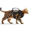 Novo colete de tração para gatos, corda tática para gato, peito, alça traseira, refletiva, respirável, corda para caminhada de gatos em estoque, atacado