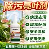 Removedor de Manchas Agente Clareador para Superfície de Folhas de Flores de Plantas Clareador de Superfície de Folhas Um Spray Limpeza Remoção de Poeira Clareamento Verdejante À Prova de Poeira Repelente de Insetos Agente de Limpeza