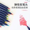 Pluma Acuarela Taiwan León Cabeza Suave 24 Colores Infantil Estudiante Bebé 36 Colores Lavables Pincel Acuarela