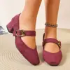 Sapatos Femininos Quadrados de Camurça com Salto Grosso 2026, Novos Sapatos Vovó Estampa de Leopardo Outono e Inverno com Tira Única Mary Jane de Couro