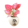 Geely Vaso Vermelho Hidropônico Ruyi Rainha Elefante Branco Planta Verde Escritório Interno Mesa Folhagem Planta Estação de Trabalho Fácil de Cuidar Flor
