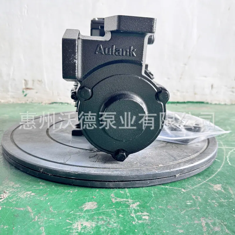 WM-20高温泵5