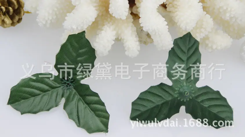 圣诞花