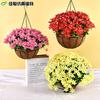 Plantas Colgantes Artificiales Colgantes de Pared Lirio Cesta Pequeña de Flores Flores Falsas Margarita Pequeña Flor de Gloria de la Mañana Rama Decoración del Hogar