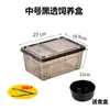 Caja de Cría Nueva de Segunda Generación para Reptiles, Caja para Mascotas Reptiles Geckos, Tanque de Plástico para Cría de Tortugas, Caja de Cría para Lagartijas
