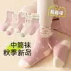Venta Directa de Fábrica Calcetines para Niños Primavera Otoño Invierno Calcetines Infantiles Calcetines de Media Caña para Estudiantes Deportivos de Moda