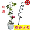 Suporte de Flores Suporte para Trepadeiras Suporte para Flores Clematis Rosa Suporte Fixo para Plantas de Trepar em Vasos Suporte de Haste para Flores de Interior