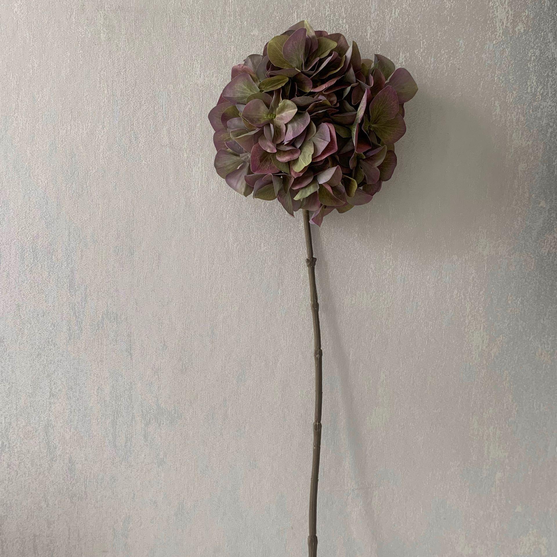 QQ图片20200426122204