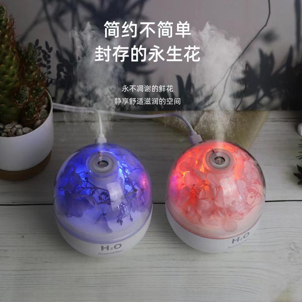 e29b4f36eedb7d776c3d7ea4adc88e