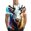 Camiseta Masculina de Manga Curta para Comércio Exterior Europeu e Americano no AliExpress Camiseta de Manga Curta com Gola Redonda e Estampa 3D Venda Direta de Fábrica no Atacado