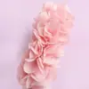 Diadema Niñas Alta Gama 2025 Diadema Presión Superior Craneal Diadema Accesorios para el Cabello Polvo en el Cabello Diadema Alta Gama Accesorios para el Cabello