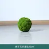 Bolas de Musgo, Bolas de Grama Artificial DIY de Musgo, Bolas de Eucalipto, Decoração de Plantas Verde Musgo, Paisagismo Bonsai, Arenito Emoldurado