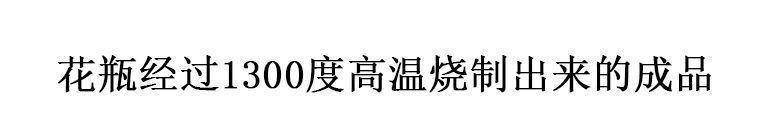 e63bd80d-1999-4127-be15-0f3a8100f3b0.jpe