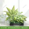 Combinación de paisajismo con plantas verdes artificiales, jardineras, maceteros, decoraciones de flores artificiales, decoración de paisaje con plantas artificiales para escaparates de centros comerciales, interior y exterior