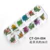 Nuevo Estilo Japonés y Coreano Arte de Uñas Flor Seca 12 Margarita Grácil Narciso Pegatina de Pollo Flor de Color Joyería para Uñas Transfronterizo