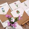 Cartão de Saudação de Planta Vintage Bonito com Envelope em Branco Mensagem Manuscrita Cartão Postal Presente de Natal Bênção Pequeno Cartão