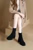 Botines de Tacón Alto Estilo Francés para Mujer 2025 Otoño e Invierno Nuevos Botas de Plataforma Impermeables con Forro de Felpa de Suela Gruesa Estilizadas para Personas Bajas para Aumentar la Altura Botas