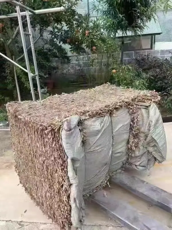 微信图片_2025-07-24_111444_290