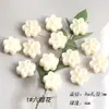 Varias cuentas de flores perforadas de colores de 5 y 6 pétalos para hacer cadenas de teléfono con cuentas de flor de cerezo, pulseras y accesorios para el cabello