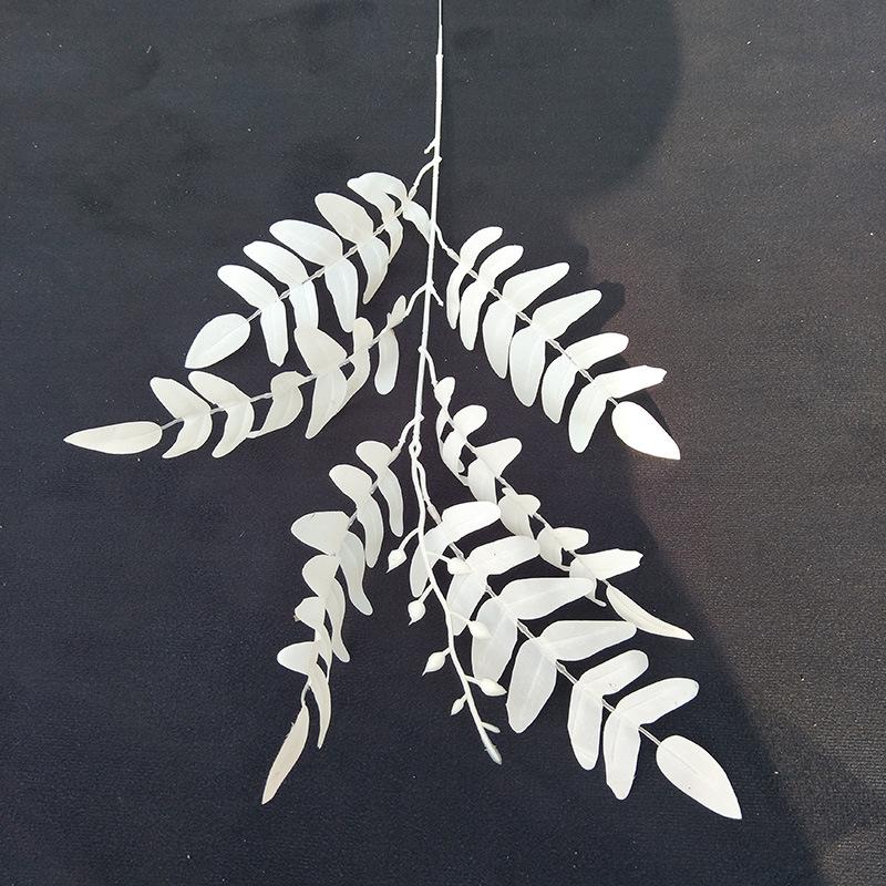 白色