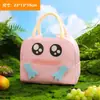 Bolsa para Lonchera de Estilo Nuevo, Fresca y Sencilla, con Papel de Aluminio Engrosado para Aislamiento Térmico y Frío, Bolsa para Bento de Dibujos Animados, Bolsa para Bento Aislada Portátil para Estudiantes
