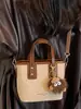Shuai Mijia 2026 Outono Nova Bolsa Transversal Elegante e da Moda de Ombro Único com Textura Retrô, Bolsa de Mão Tipo Saco Feminina
