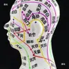 Modelo de Corpo Humano com Pontos de Acupuntura para Praticar Inserção de Agulha, Diagrama Completo do Corpo com os Doze Meridianos da Medicina Chinesa, Modelo de Cobre em Forma Humana