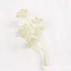 Hojas Simuladas de Plantas Acuáticas, Hierba Cola de Fénix, Hojas Falsas de Eucalipto, Coronas Hechas a Mano para Bricolaje, Boutonnières, Accesorios para Sombreros de Flores, Materiales
